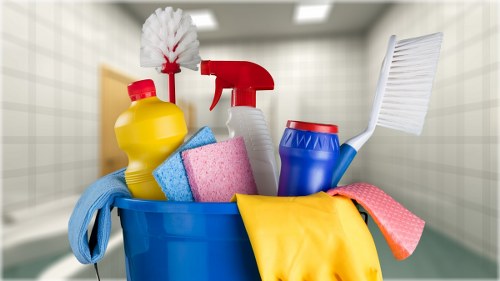Cleaning a pet-stained carpet in a Westminster home