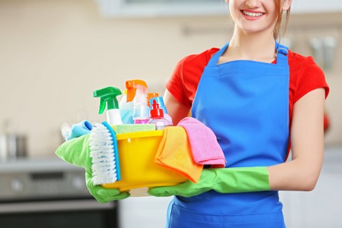 Professional deep cleaning for a Westminster apartment with compact living spaces