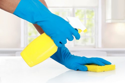 Professional cleaning of shared staircase and handrails in Westminster