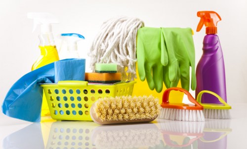 Regular housekeeping and maintenance cleaning across Westminster homes and businesses