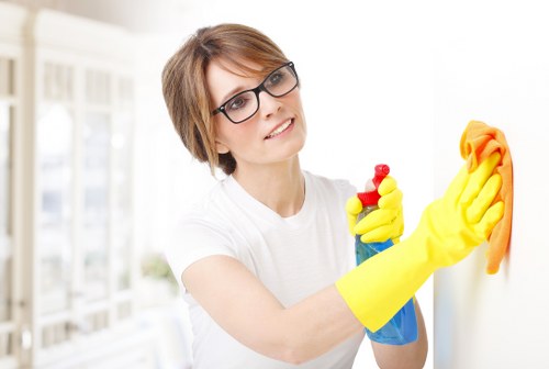 Kitchen and bathroom cleaning in a Westminster apartment