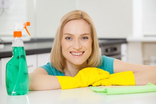 Deep cleaning a wool rug in a Westminster property