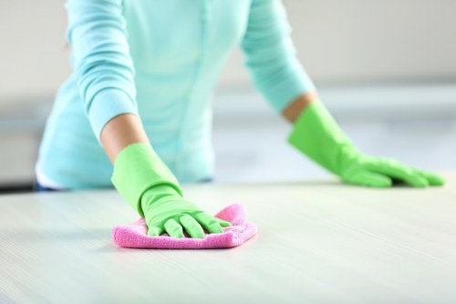 Professional upholstery cleaning for pet accidents in Westminster