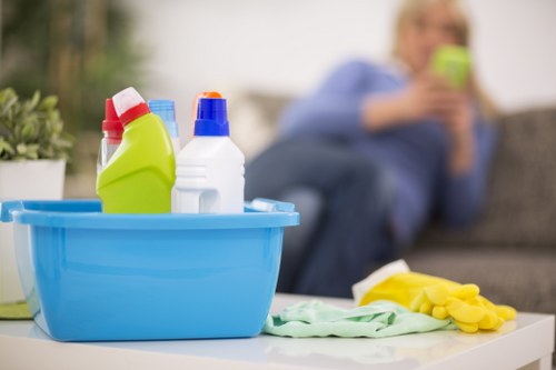 Preparation checklist for pet stain removal in a central London property