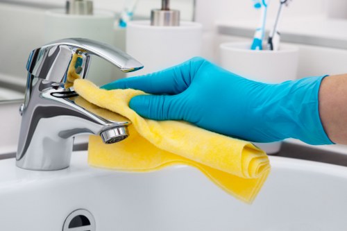 Regular house cleaning service for a Westminster flat