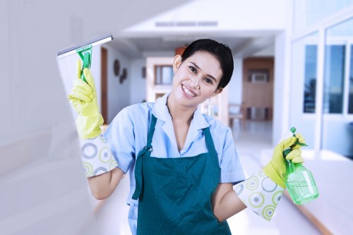 Streak-free window washing for a central London property