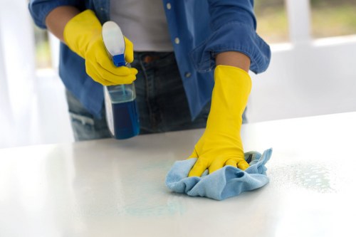 Local sofa cleaning team working in a Westminster apartment building