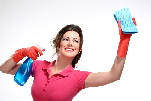 Cleaner preparing a carpet steam cleaning service in a Westminster flat