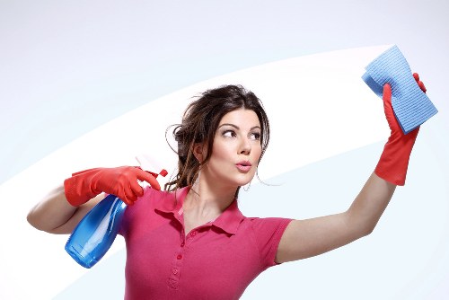 Local waste separation and recycling practice in Westminster borough